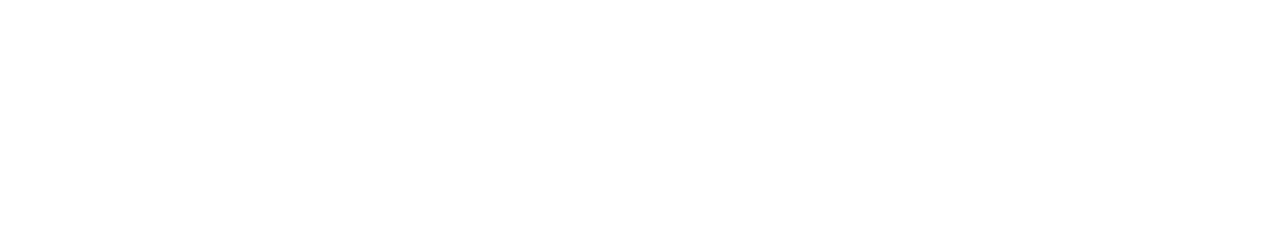 hosoya logo